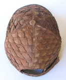 Parrot Fish Skin Caps - View from back